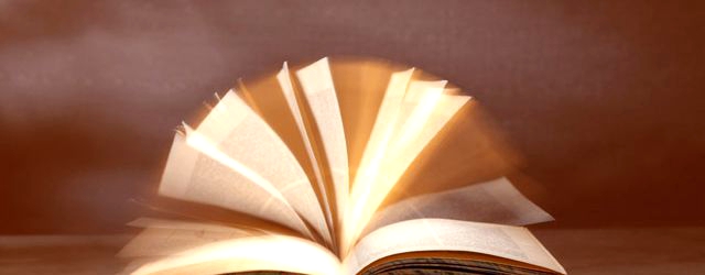 教育は社会で生きて行く上で重要である